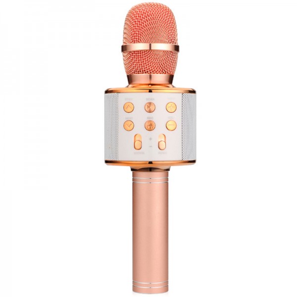 Microfon Karaoke NYTRO pentru Copii, Bluetooth, Functie Ecou, Difuzor Sunet, Schimbare voce + 1 GRATIS
